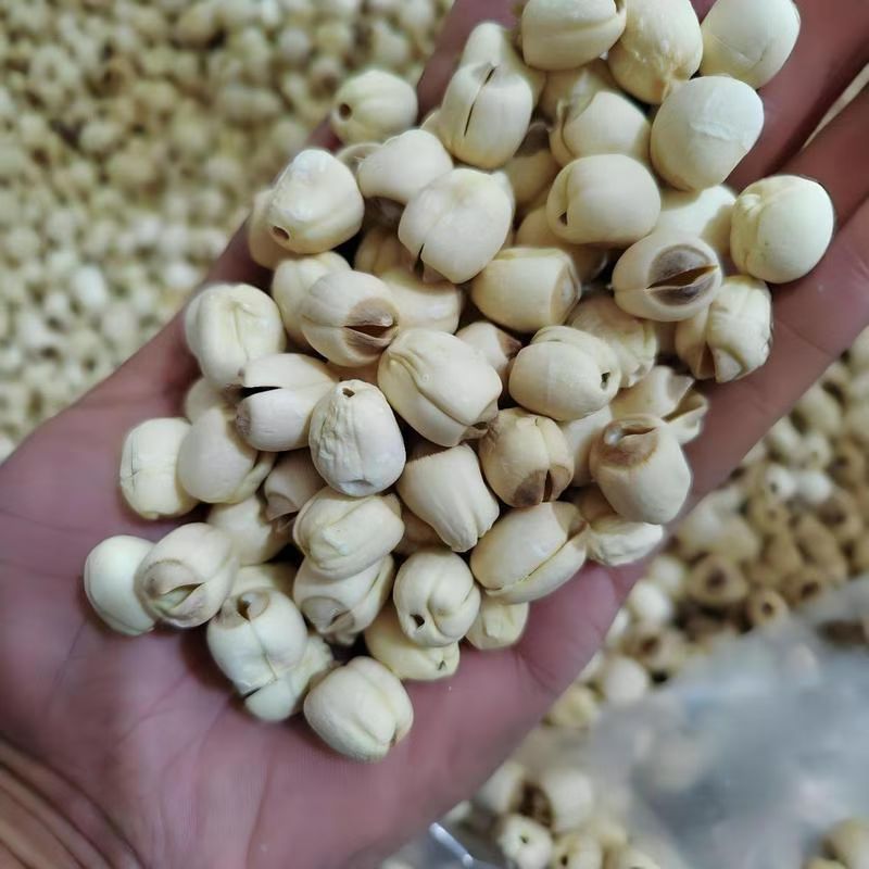 莲子干货新货湘潭去芯白莲子带心无心磨皮白连子粉糯包邮湘莲