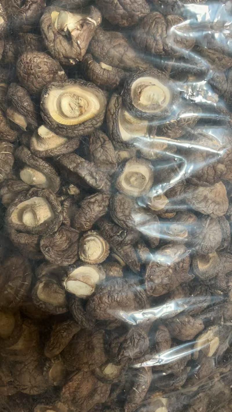 花花菌子随州产地直发香菇干货肉厚无根农家菌菇新货煲汤炒菜