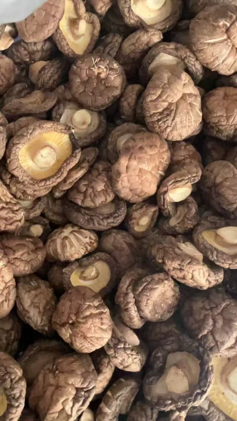 花花菌子随州产地直发香菇干货肉厚无根农家菌菇新货煲汤炒菜