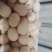 山东土鸡蛋自家养殖土鸡蛋，品质保证，量大从优，电联价格可谈