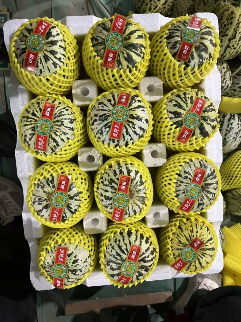 花蕾1号甜瓜百万亩甜瓜基地专业品控专业供应