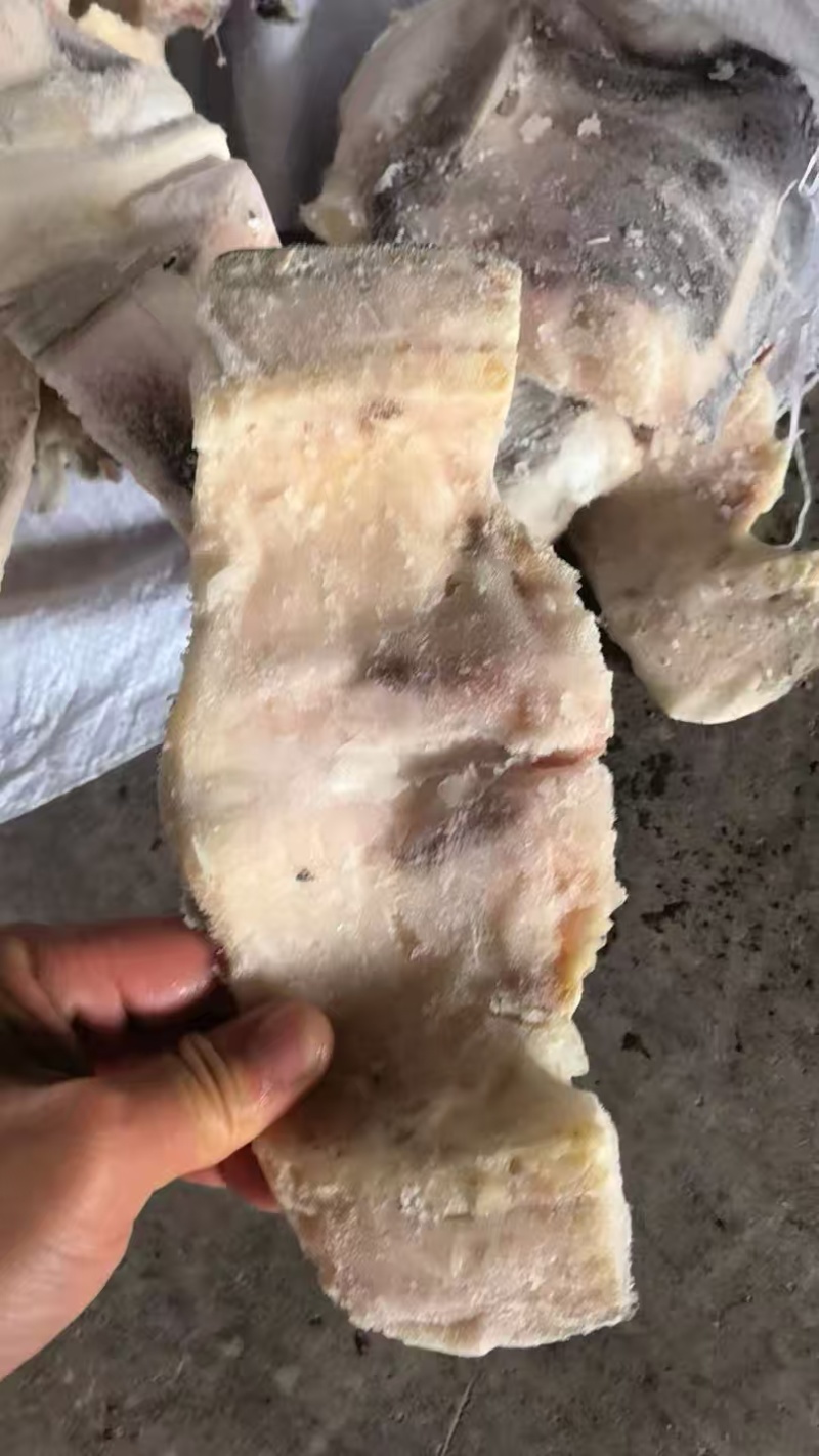 白鲢鱼块欢迎下单