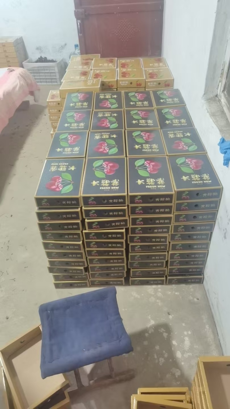 美早大樱桃，山东产地高品质