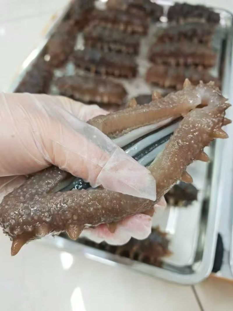 即食海参大连刺参辽刺参新鲜海参非干货单个装速食独立包