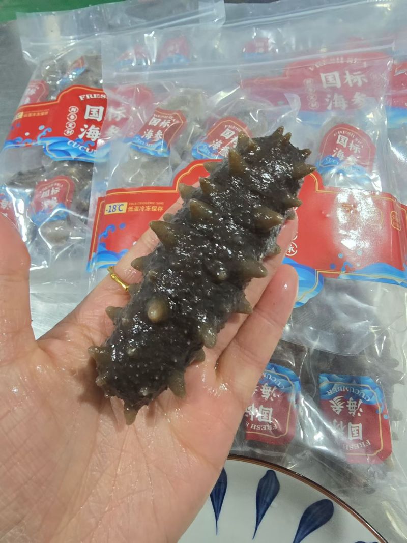 即食海参大连刺参辽刺参新鲜海参非干货单个装速食独立包