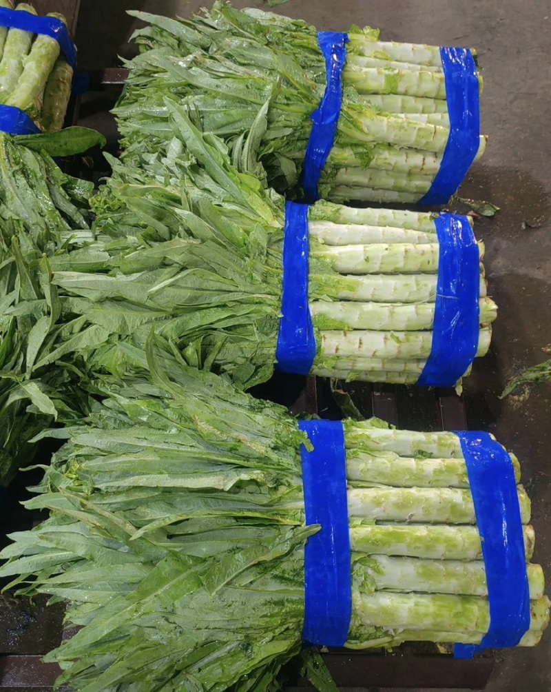 【推荐】精品莴笋三青莴笋青皮青肉青叶产地直销