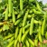 河南精品青豌豆大量上市颗粒饱满现摘现发质量保证