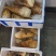 长兴精品春笋