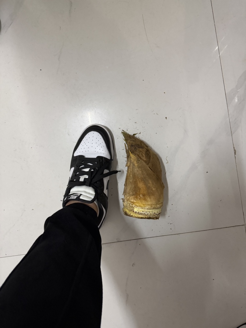 安吉春笋