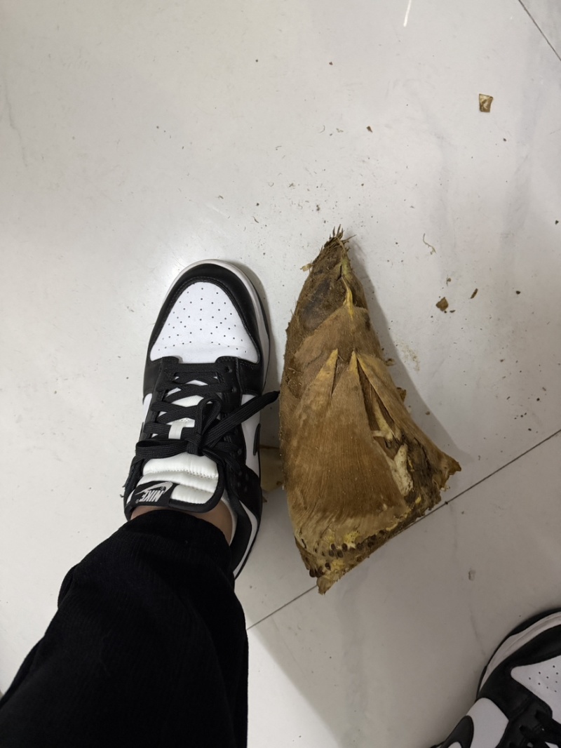 安吉春笋