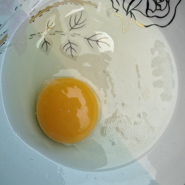 鸡蛋