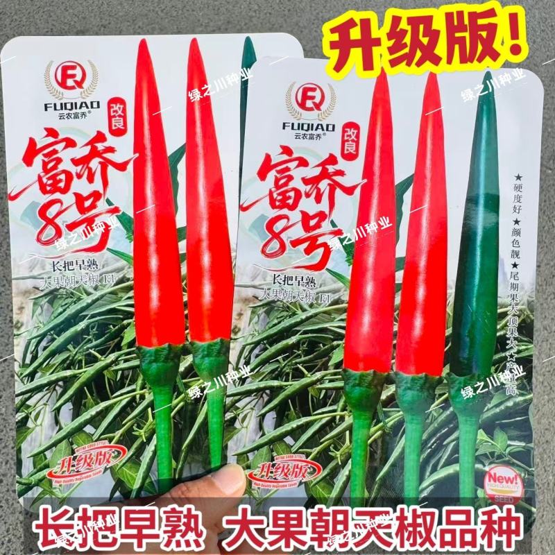 改良富乔8号朝天椒种子升级长把大果朝天椒种子早熟青红两用