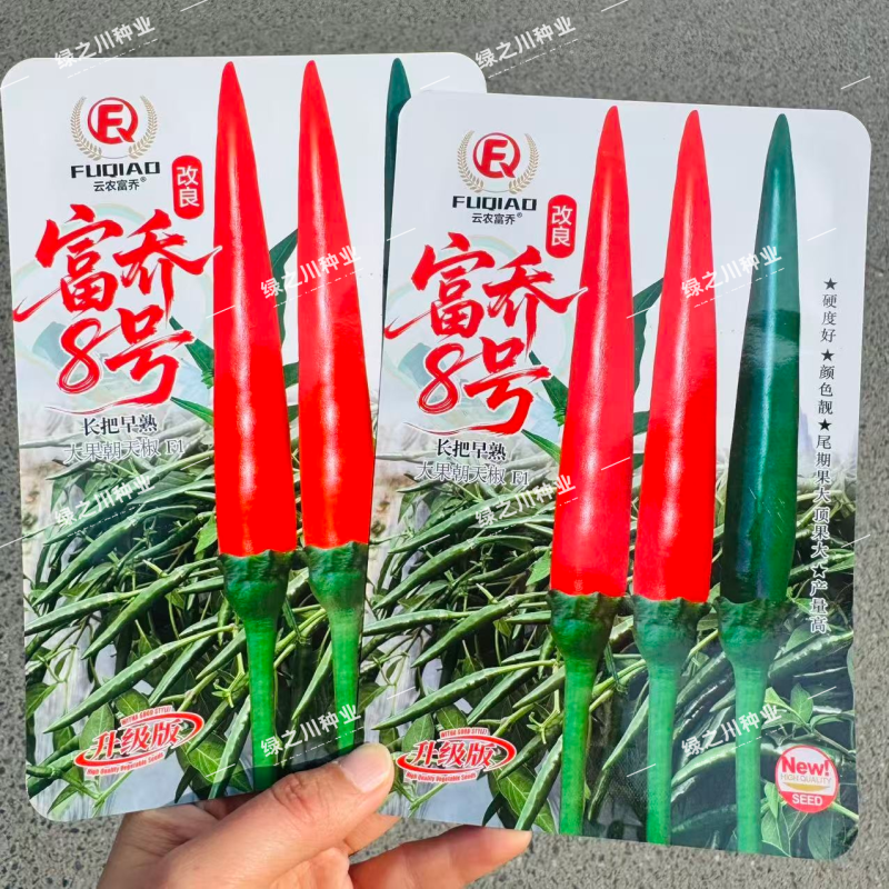 改良富乔8号朝天椒种子升级长把大果朝天椒种子早熟青红两用