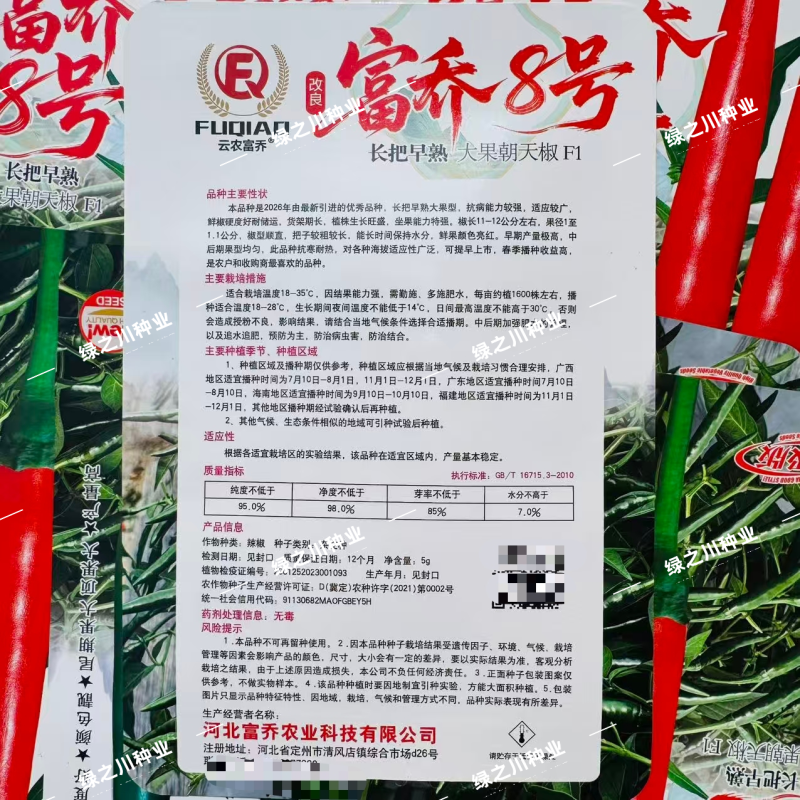 改良富乔8号朝天椒种子升级长把大果朝天椒种子早熟青红两用