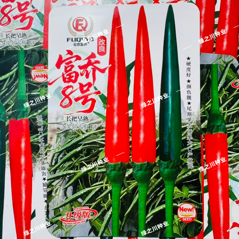 改良富乔8号朝天椒种子升级长把大果朝天椒种子早熟青红两用