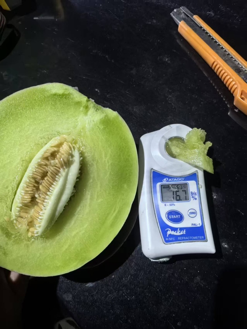 【电商玉菇】产地供应链海量货源欢迎前来合作电联