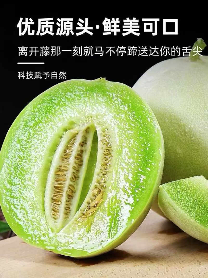 【电商玉菇】产地供应链海量货源欢迎前来合作电联