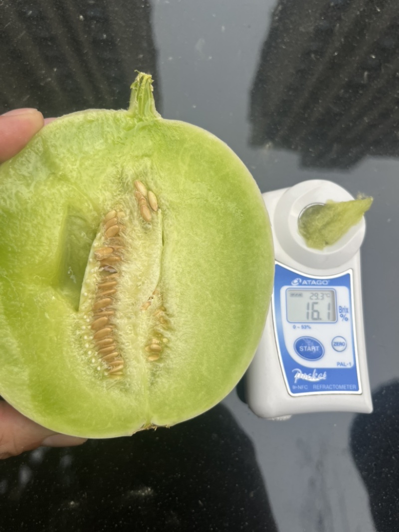 【电商玉菇】产地供应链海量货源欢迎前来合作电联