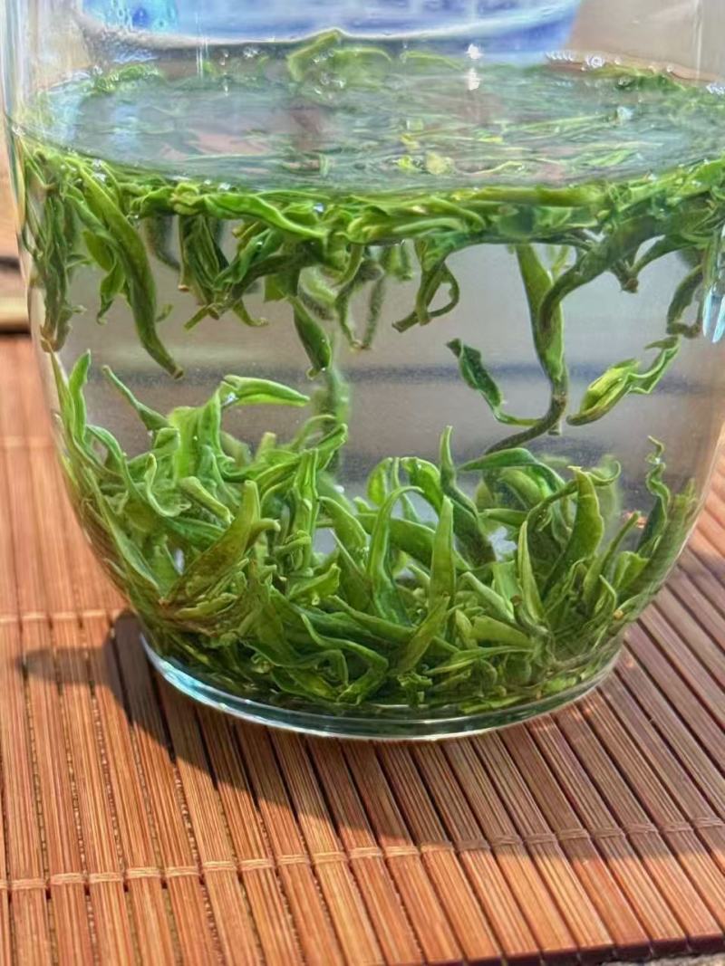 湖南湘西保靖黄金茶。