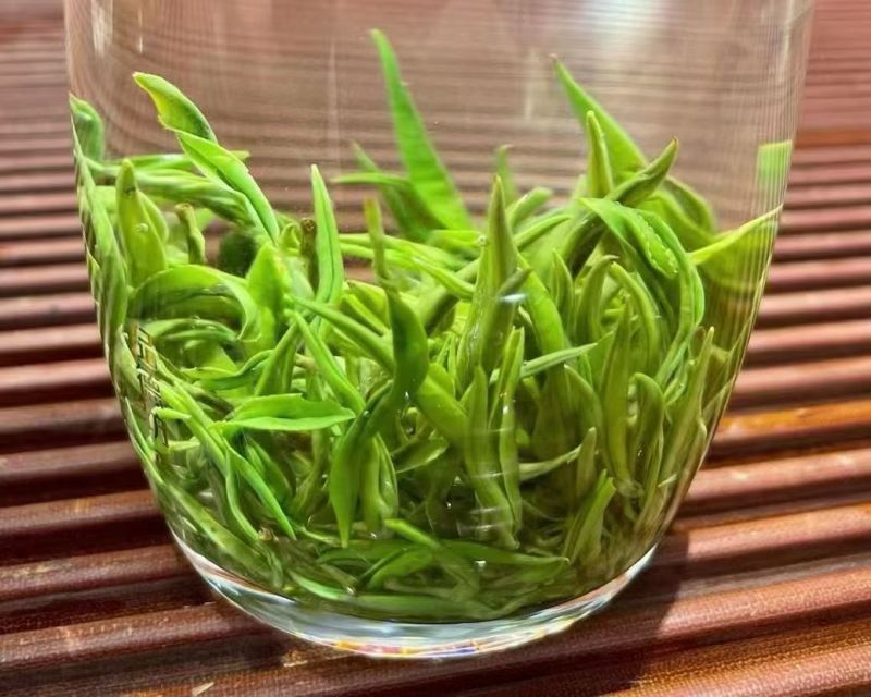 湖南湘西保靖黄金茶。