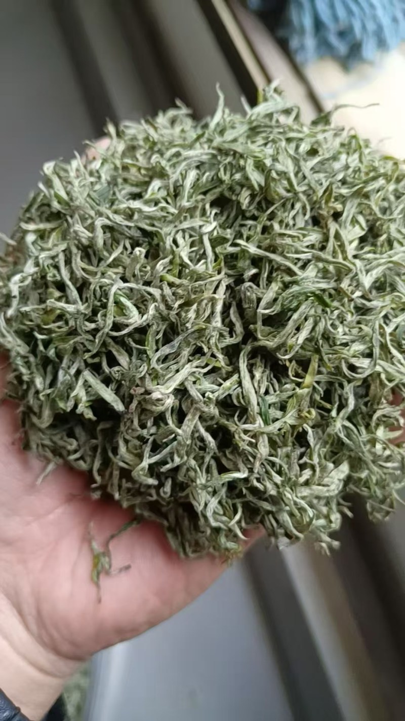 湖南湘西保靖黄金茶。
