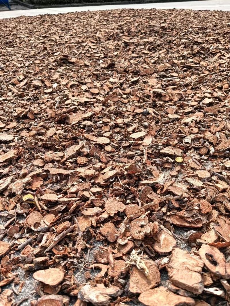 大别山野生/地榆/26年新货