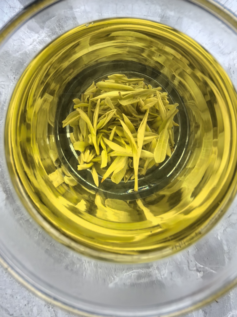 贵州晴隆绿茶黄金芽
