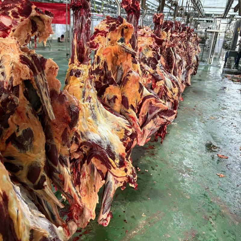 甘肃本地精品牦牛肉/量大从优/源头直发/欢迎下单联系