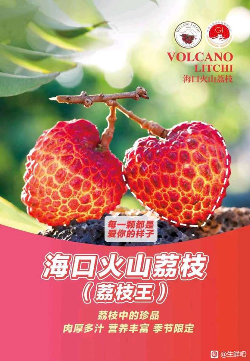 广西无核荔枝苗/妃子笑苗/根系发达/50~80cm