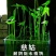 慈姑水生植物茨菇养龟水草水族净化鱼缸龟缸造景植物花卉阳台