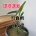 慈姑水生植物茨菇养龟水草水族净化鱼缸龟缸造景植物花卉阳台