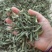 精品茶叶药用提取原料甜叶菊