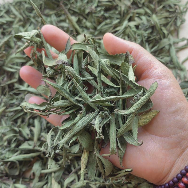 精品茶叶药用提取原料甜叶菊