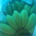 苹果蕉