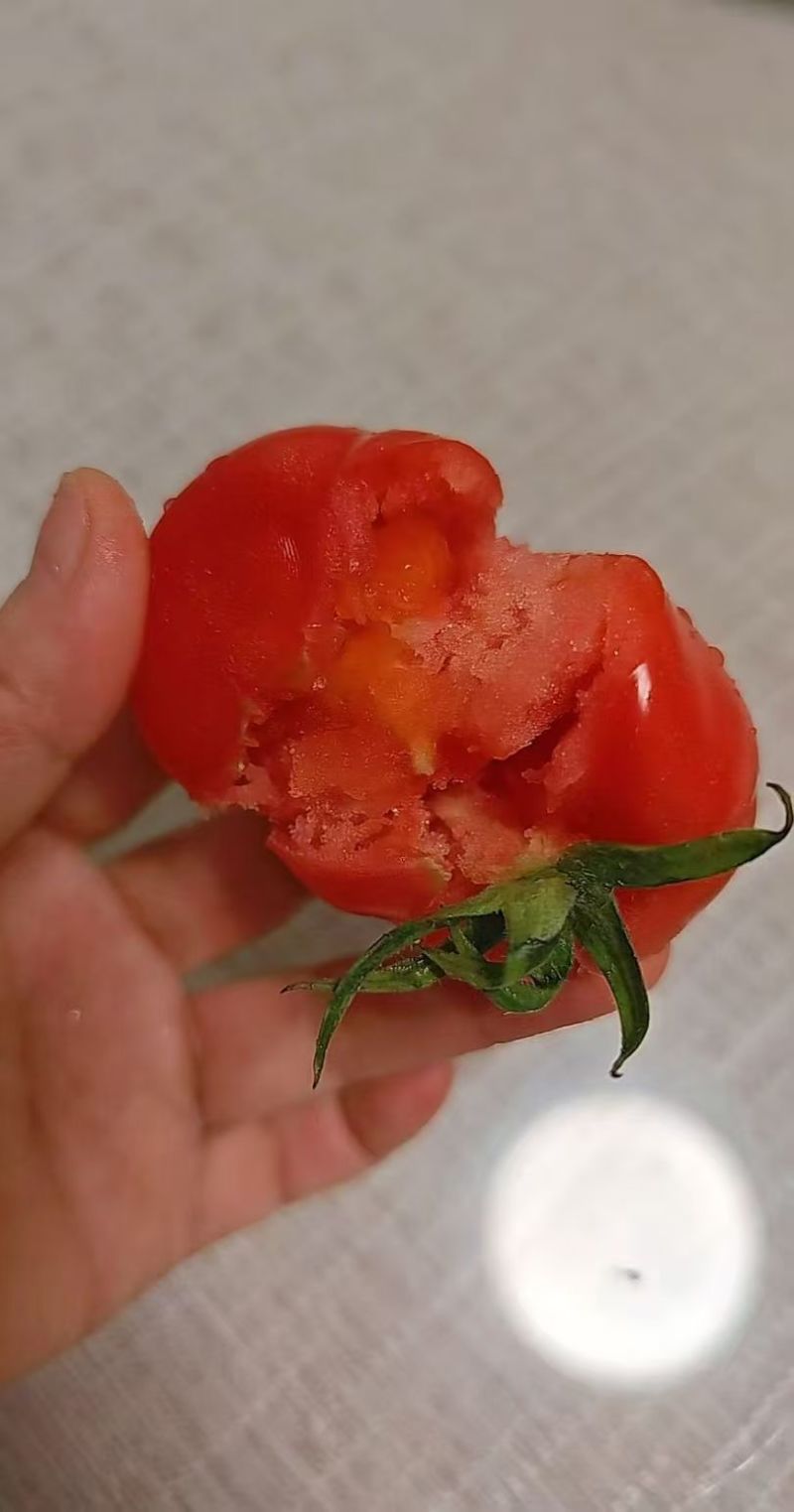 爱丽儿西红柿