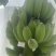 苹果蕉