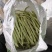 油豆角已大量上市，欢迎新老客户前来合作，全国代发大量供货
