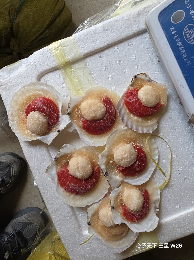 冷水海域，贝柱紧实，裙边完整，带膏可选。冰衣薄出成率高