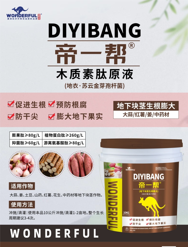 大蒜红薯姜药材，地下块茎生根膨大专用，促生根膨大地下果实