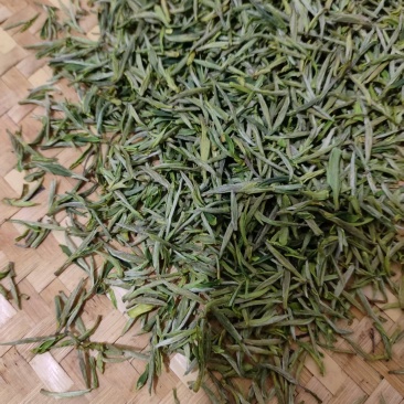 黄山毛峰，明前头采，炭火工艺