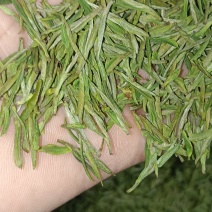 安吉白茶（江西产地丿