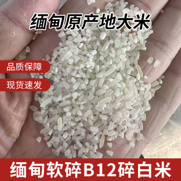 缅甸碎米软碎B12酿酒酿醋饲料原料