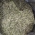 湘西黄金茶（绿茶，红茶）