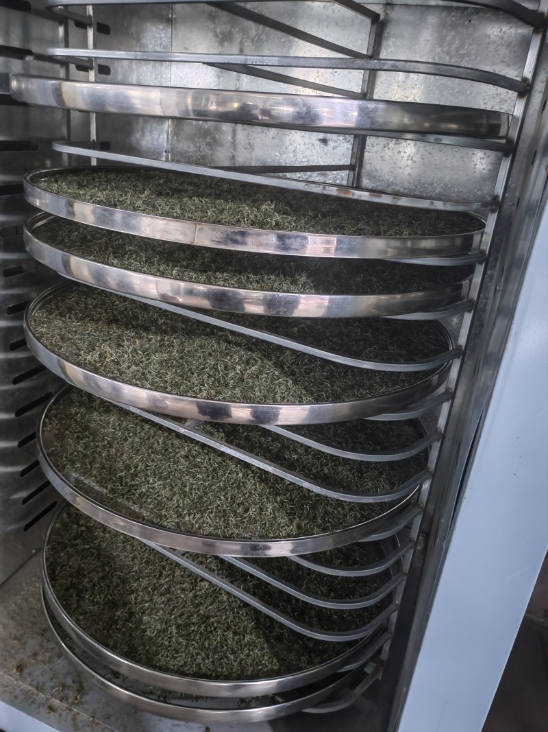 湘西黄金茶（绿茶，红茶）
