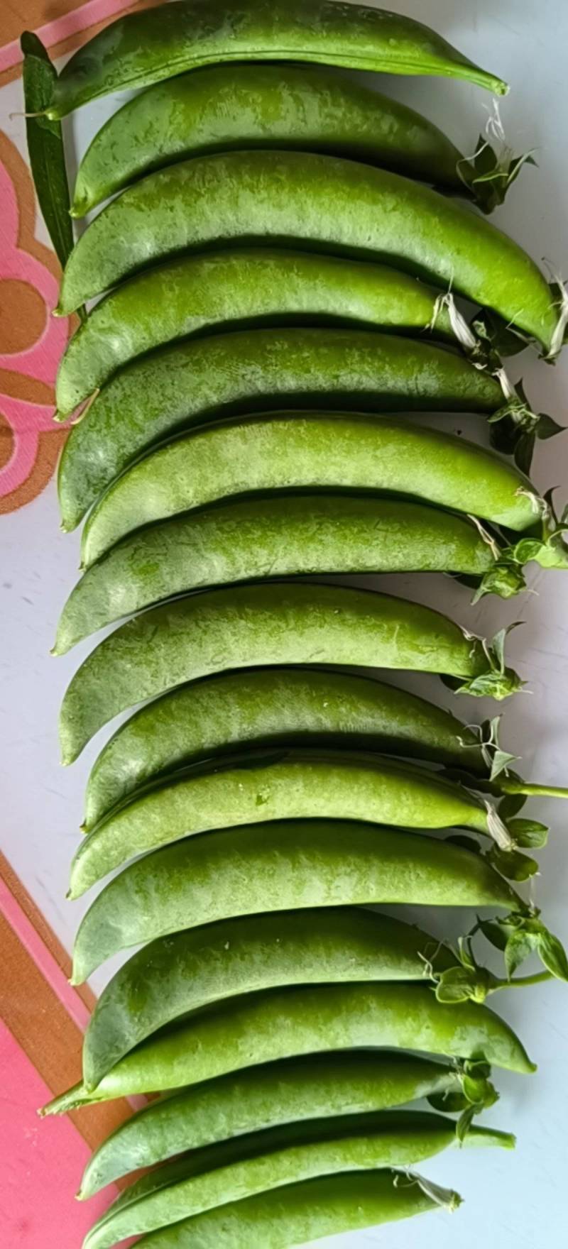 甜豌豆