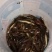 大量的黄鳝泥鳅，鱼类等各种农产品