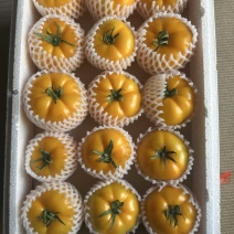 圆黄色番茄，粉糯，风味汁水足，亮度好