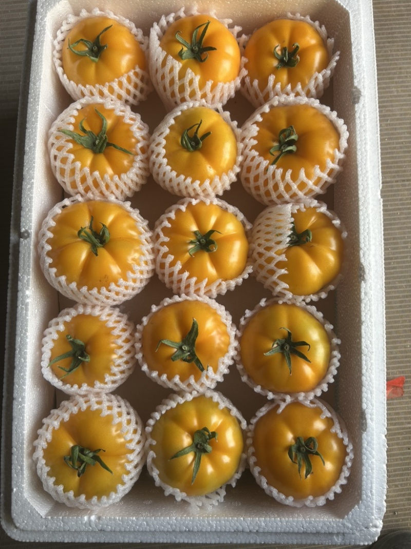 圆黄色番茄，粉糯，风味汁水足，亮度好