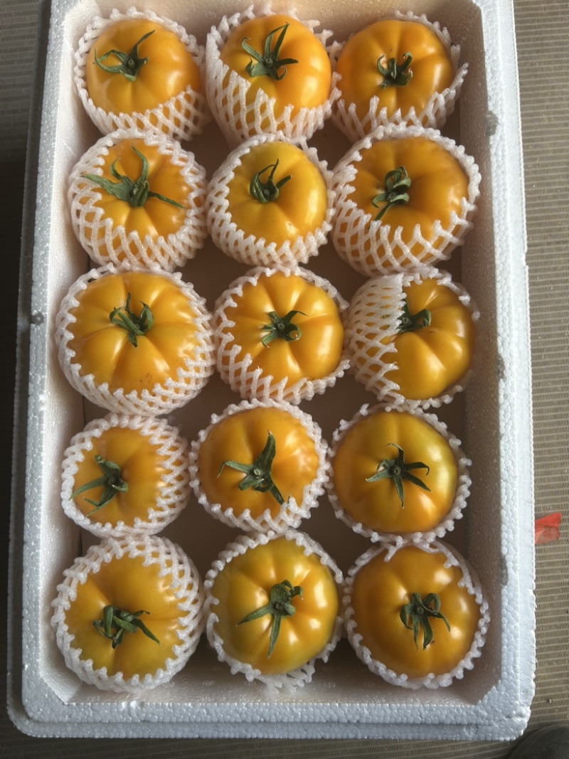 圆黄色番茄，粉糯，风味汁水足，亮度好