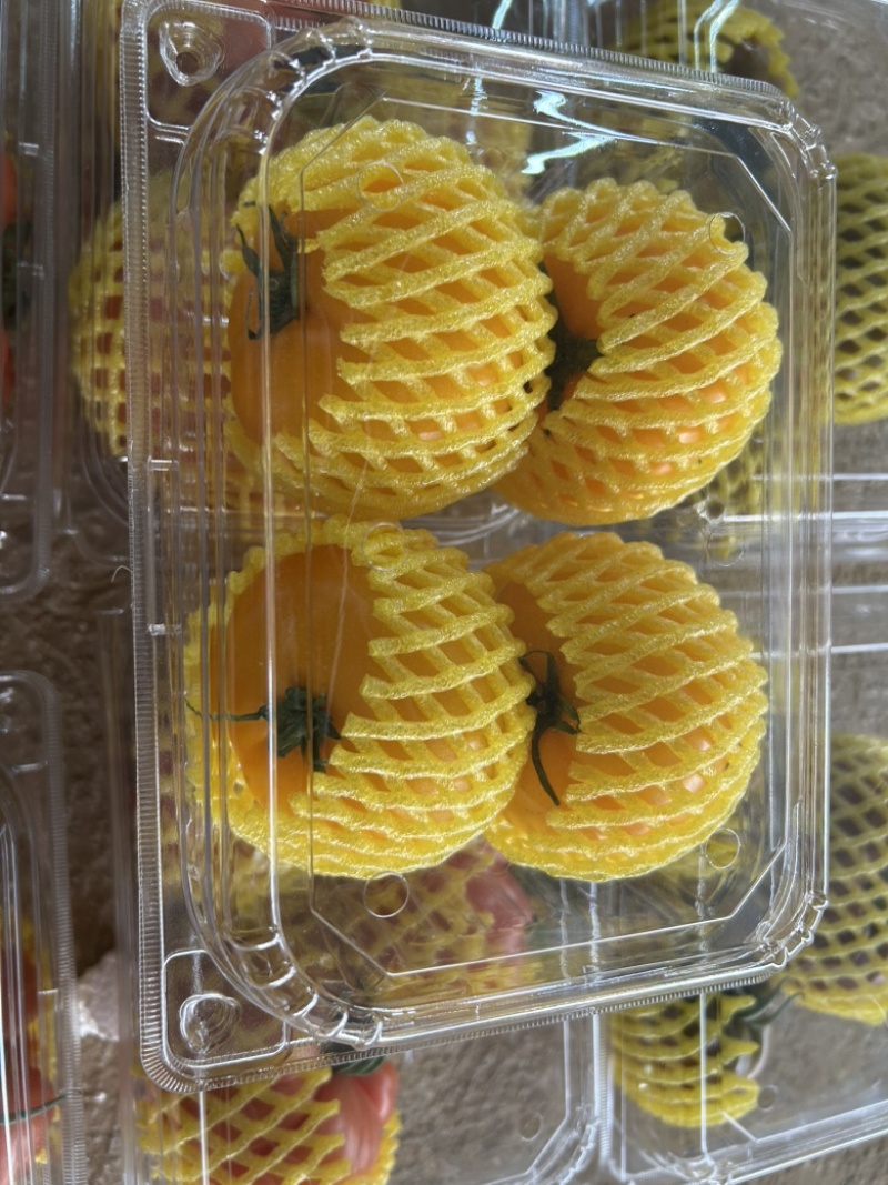 圆黄色番茄，粉糯，风味汁水足，亮度好